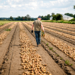 7_Feld_Impressionen__015